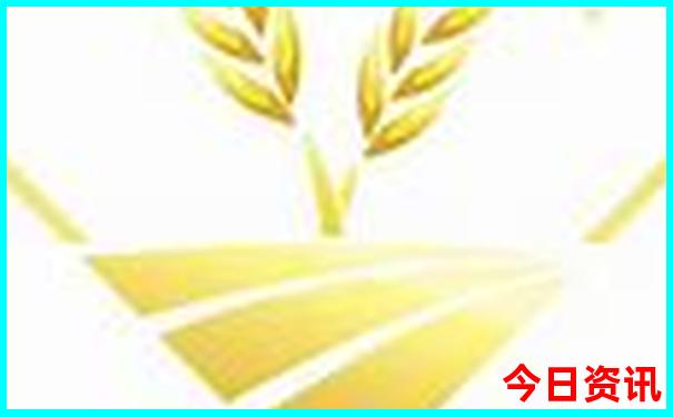 香格里拉旅游要注意什么