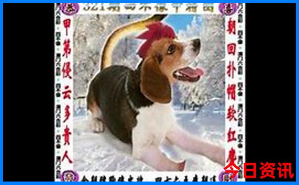 8月底去哪里旅游合适